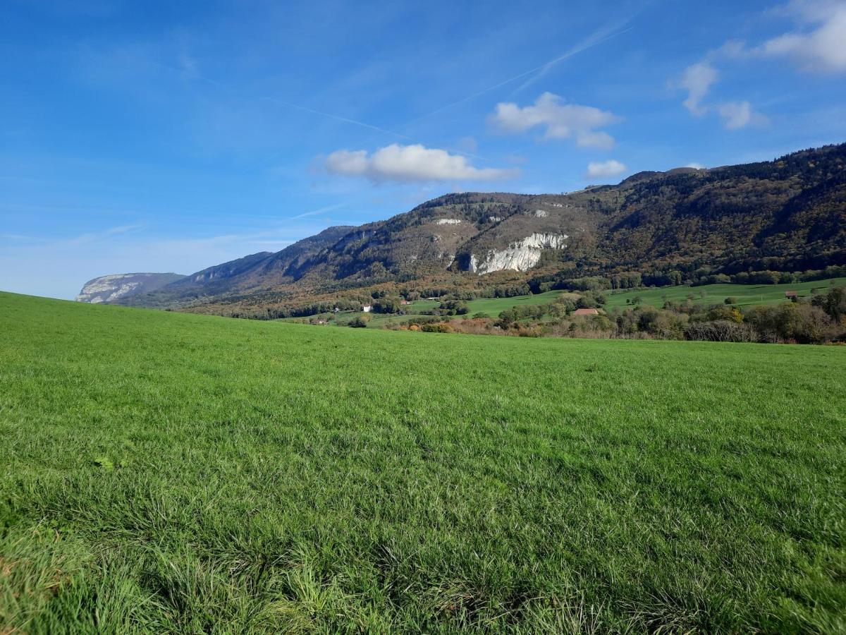 The Originals City, Hotel Rey Du Mont Sion, Saint-Julien-En-Genevois Sud Luaran gambar