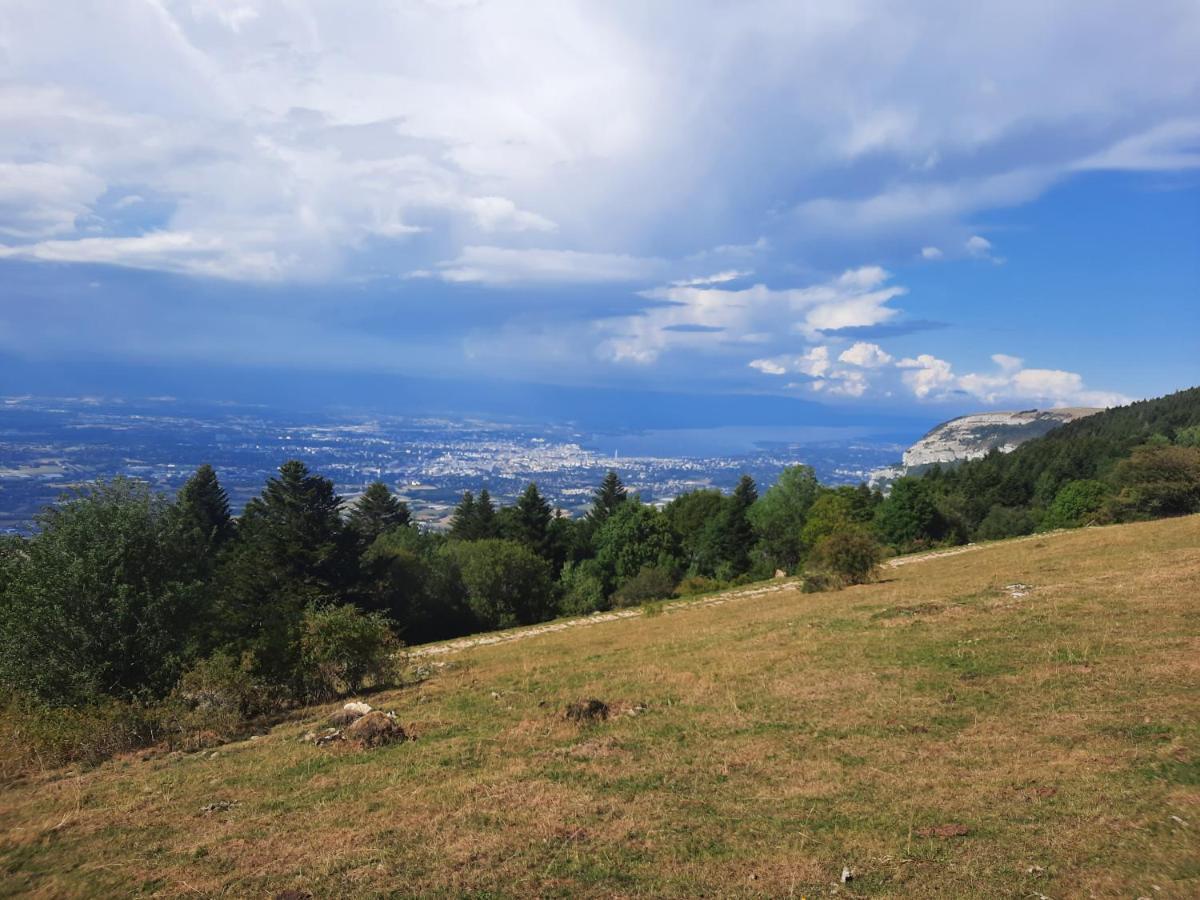 The Originals City, Hotel Rey Du Mont Sion, Saint-Julien-En-Genevois Sud Luaran gambar