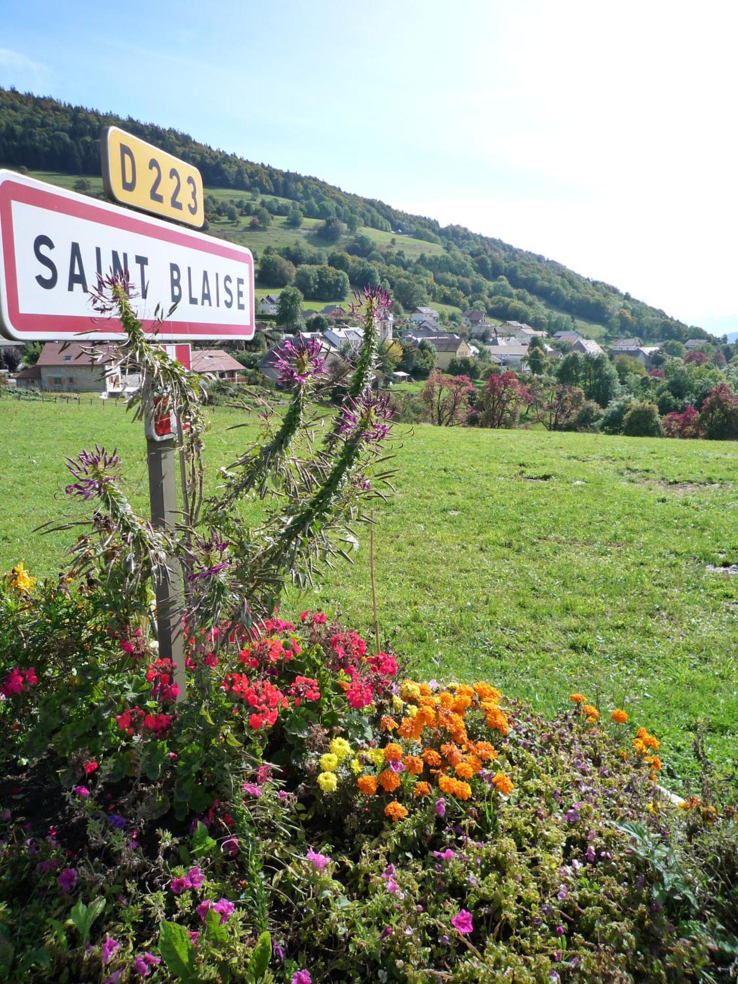 The Originals City, Hotel Rey Du Mont Sion, Saint-Julien-En-Genevois Sud Luaran gambar
